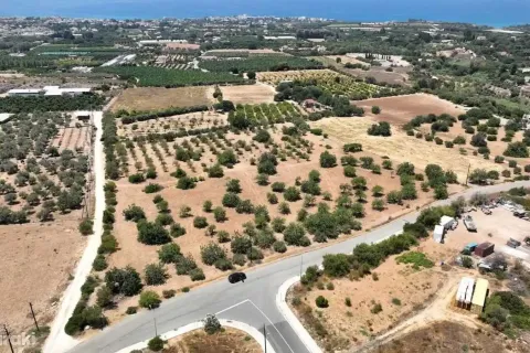 9000m² Land en Tala, Cyprus No. 41593 3