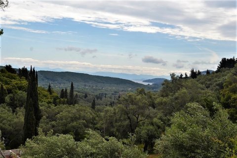 10000m² Land en Corfu, Greece No. 57364 1