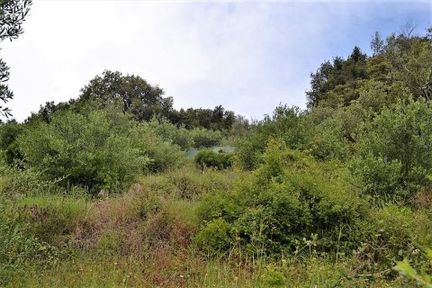 10000m² Land in Corfu, Greece No. 57364 4