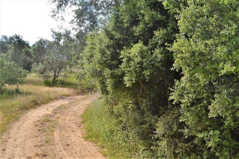 12000m² Land in Corfu, Greece No. 57365 9