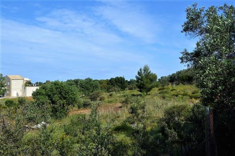 12000m² Land in Corfu, Greece No. 57365 2