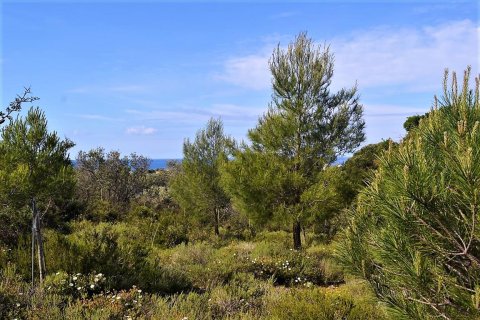 12000m² Land in Corfu, Greece No. 57365 1