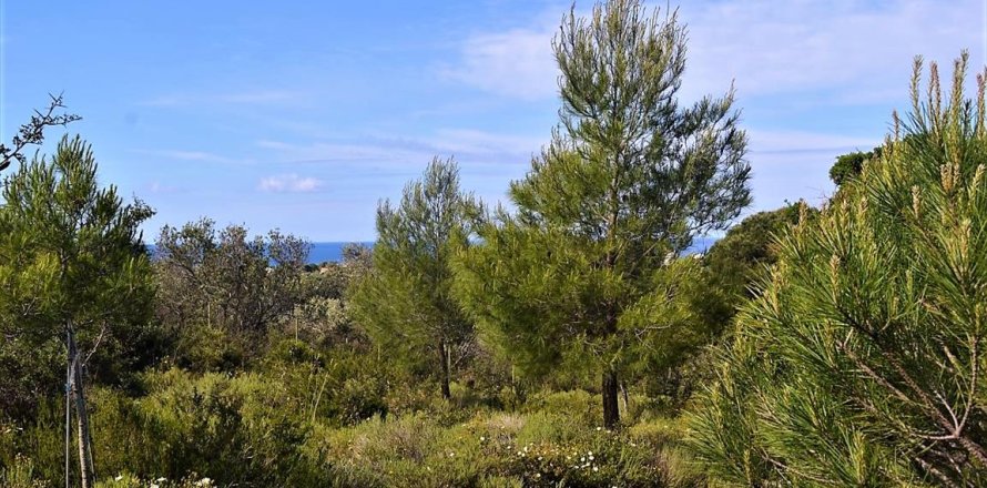 12000m² Land in Corfu, Greece No. 57365