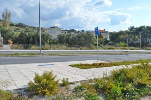 1000m² Land in Kalyvia Thorikou, Greece No. 59303 3