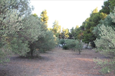 3600m² Land in Polygyros, Greece No. 59302 8