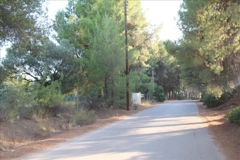 3600m² Land in Polygyros, Greece No. 59302 4