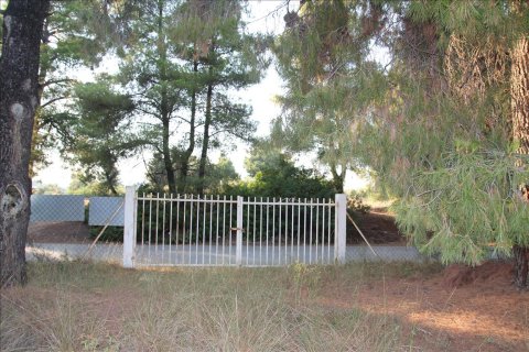 3600m² Land in Polygyros, Greece No. 59302 5