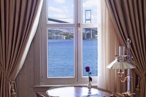 10+14 Villa in Istanbul, Turkey No. 15016 8