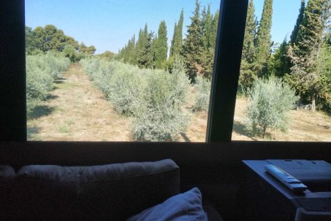 12700m² Land in Elis, Greece No. 56031 6