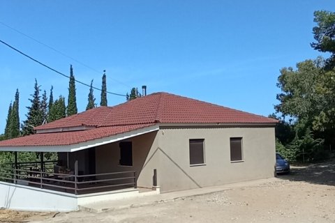 12700m² Land en Elis, Greece No. 56031 1