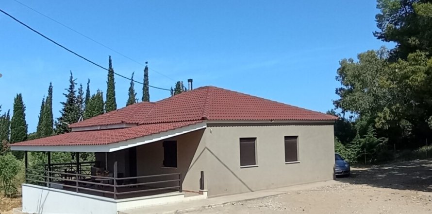 12700m² Land à Elis, Greece No. 56031