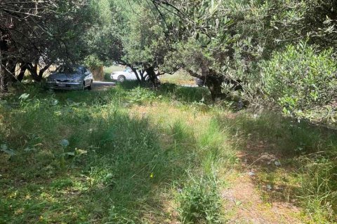 862m² Land en Heraklion, Greece No. 56028 2