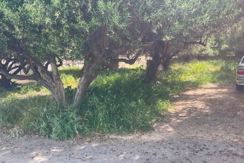 862m² Land à Heraklion, Greece No. 56028 4