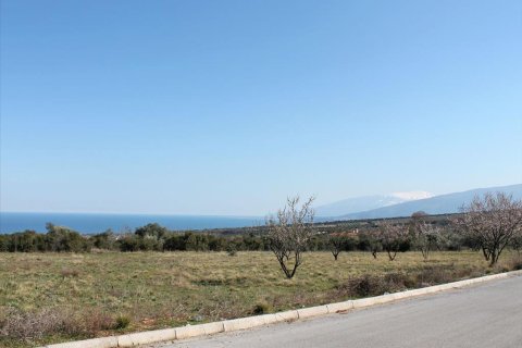 1200m² Land à Litochoro, Greece No. 59800 2