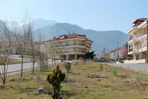 715m² Land à Litochoro, Greece No. 59799 2