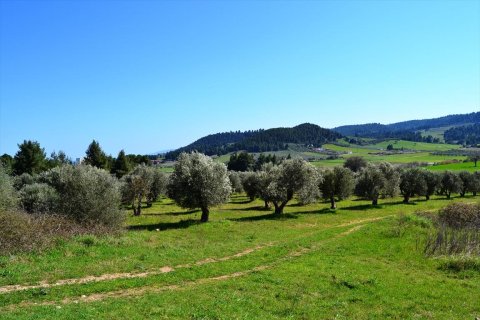 10800m² Land in Chalkidiki, Greece No. 59802 3