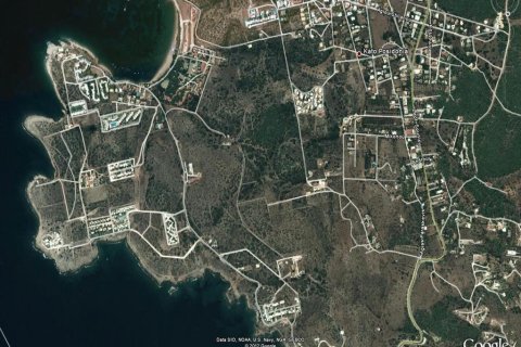 8000m² Land in Lavrio, Greece No. 59078 3