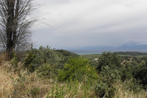 15000m² Land en Corfu, Greece No. 58318 13