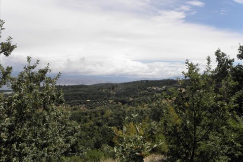 15000m² Land en Corfu, Greece No. 58318 3