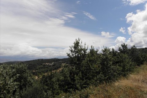 15000m² Land en Corfu, Greece No. 58318 7