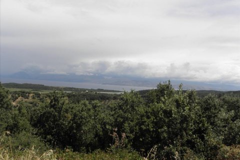 15000m² Land en Corfu, Greece No. 58318 10