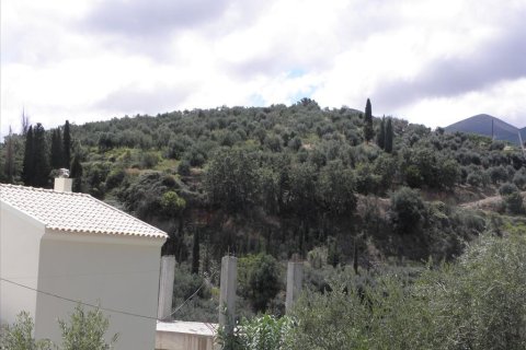 15000m² Land in Corfu, Greece No. 58318 15