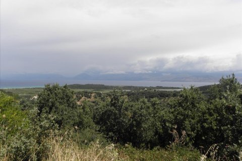 15000m² Land in Corfu, Greece No. 58318 1