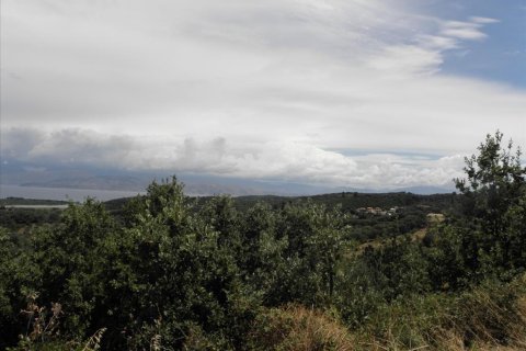 15000m² Land in Corfu, Greece No. 58318 11