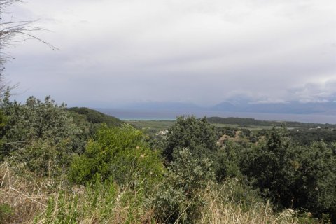 15000m² Land en Corfu, Greece No. 58318 8