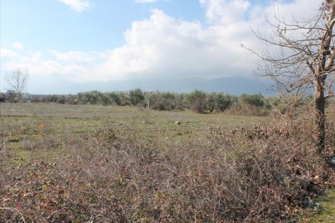 12300m² Land à Litochoro, Greece No. 58317 3