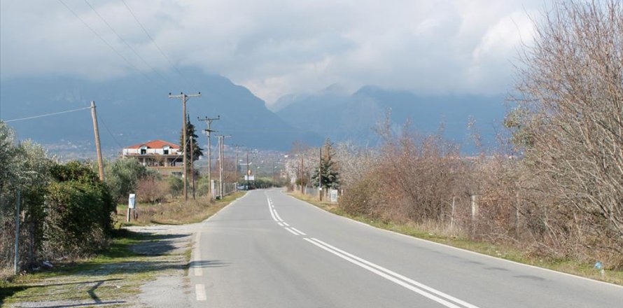 12300m² Land in Litochoro, Greece No. 58317