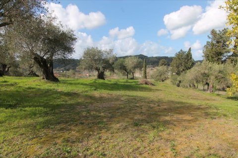 6135m² Land in Corfu, Greece No. 58313 12