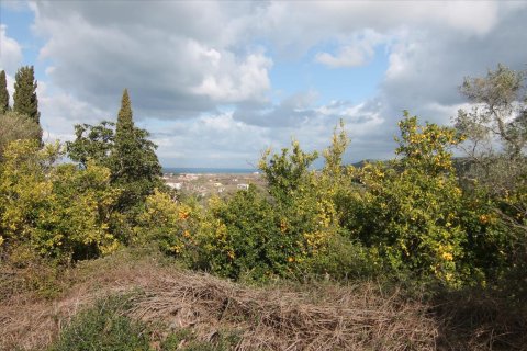 6135m² Land in Corfu, Greece No. 58313 15