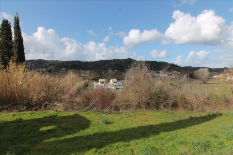 6135m² Land en Corfu, Greece No. 58313 5