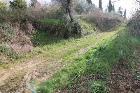 6135m² Land in Corfu, Greece No. 58313 3