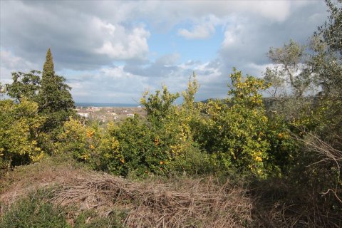 6135m² Land in Corfu, Greece No. 58313 1