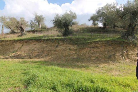 6135m² Land à Corfu, Greece No. 58313 9