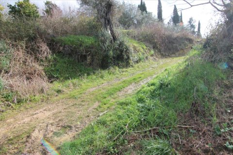 6135m² Land in Corfu, Greece No. 58313 2