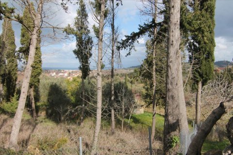 6135m² Land à Corfu, Greece No. 58313 11