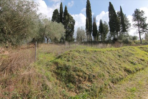 6135m² Land en Corfu, Greece No. 58313 4