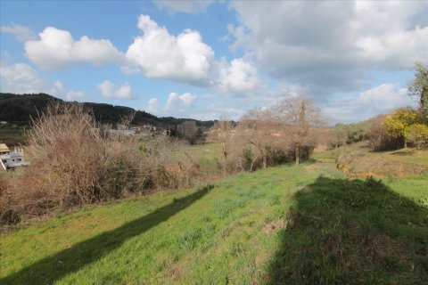 6135m² Land à Corfu, Greece No. 58313 6