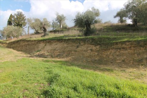 6135m² Land à Corfu, Greece No. 58313 8