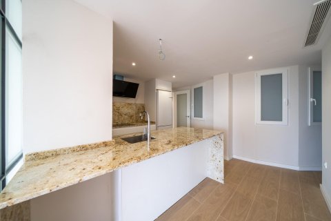 Квартира с 4 спальнями в Аликанте, Испания №92301 21