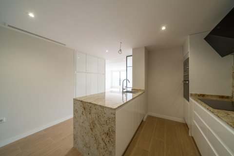 Квартира с 4 спальнями в Аликанте, Испания №92301 20