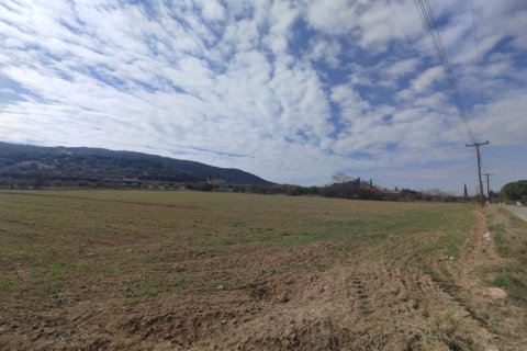 9000m² Land à Thermi, Greece No. 54886 4