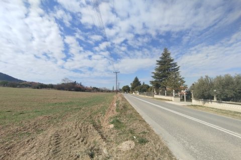 9000m² Land en Thermi, Greece No. 54886 3