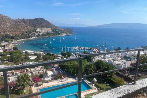 6+1 Villa in Bodrum, Turkey No. 61114 30