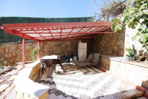 5 rooms Apartment in Demirtas, Turkey No. 20947 12