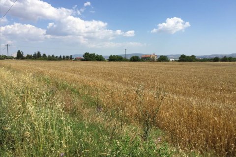 16000m² Land in Thermi, Greece No. 58103 3