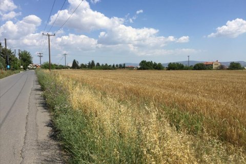 16000m² Land in Thermi, Greece No. 58103 6